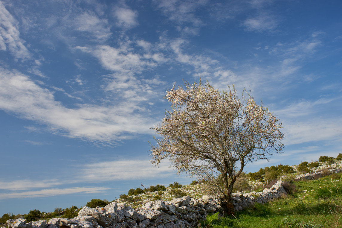 magnetický polarizační filtr VFFOTO GS 95 mm s filterm