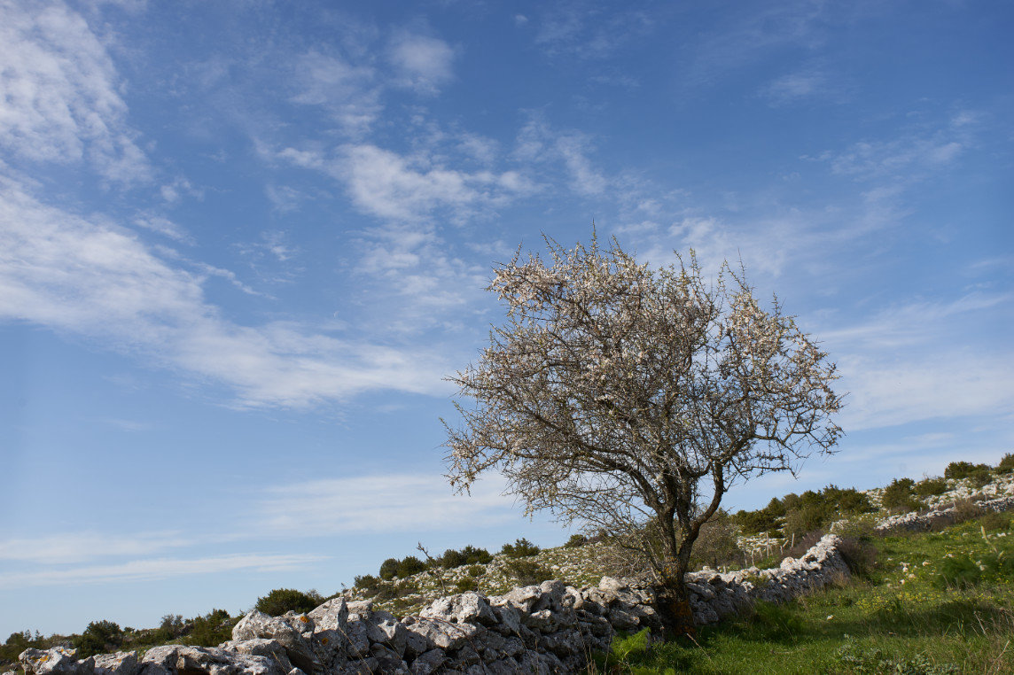 magnetický polarizační filtr VFFOTO GS 95 mm bez filtru