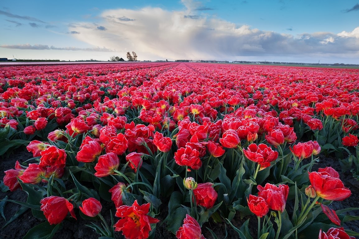 přechodový filtr VFFOTO NHDQ 0.6 HARD 100x150 mm s filterm